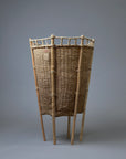 Kanoka Basket by Kayapo