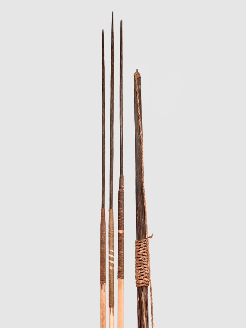 Collection Image